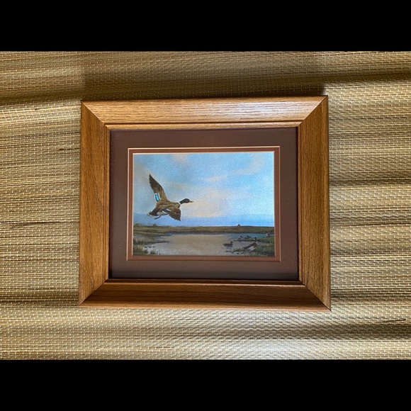 Two vintage Dufex prints of mallard ducks, by F. Osborne, framed - Picture 3 of 7